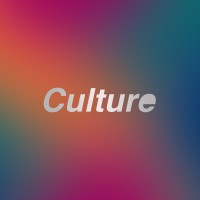 Culture Digital Agency logo - Similar company to Tiny Disco