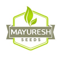Mayuresh seeds logo - Similar company to Html Seeds