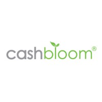 Cashbloom logo - Similar company to Cd Softs
