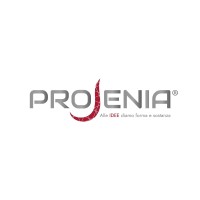 PROJENIA S.C.S. logo - Similar company to Ram Consulting