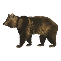 Drayton logo - Similar company to Elevate Flex
