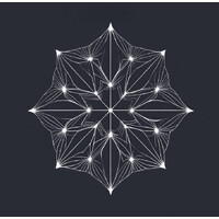 Fractal Health Consulting logo - Similar company to Psychedelia Integration