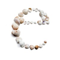 Hostal Empúries logo - Similar company to Hostal San Juan