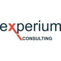 Experium Consulting logo - Similar company to Incentea Wide
