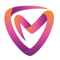Velvetview Media Pvt. Ltd. logo - Similar company to Rettai-3D.Ai
