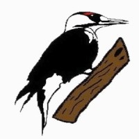 Forest Creek Golf Club logo - Similar company to The Country Club Of North Carolina