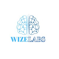 Wizelabs Private Limited logo - Similar company to Livwize - Iot Solutions