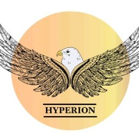 Hyperion - PGDAV | University of Delhi logo - Similar company to Kaizen For Change