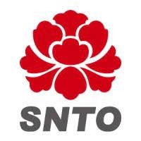 SNTO Holdings Group Limited logo - Similar company to Trio Global