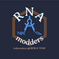 RNA modulation for therapeutics LAB @IMCB A*STAR logo - Similar company to Wiscoreia