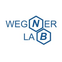Wegner Labs logo - Similar company to Inoyad Technologies