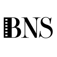 Bright Nights Studio logo - Similar company to Brite Nites