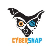 CyberSnap Security Foundation