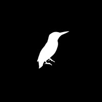 Atorrante logo - Similar company to Memelabs Inc.