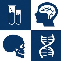 IVNVI Forensics Society logo - Similar company to Racing Forensics Inc.