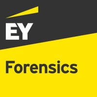 Forensics | EY Bulgaria logo - Similar company to Novelcomm