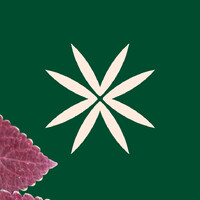 Casa Vereda logo - Similar company to Anna Prata