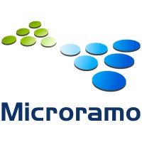 Microramo S.r.l. logo - Similar company to Ingage | Smart Software House