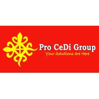 PROCEDI Group