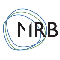 MRB Ingegneria logo - Similar company to Agisco Group