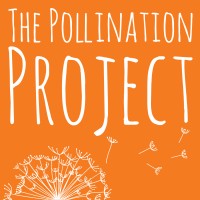 The Pollination Project Foundation logo - Similar company to Global Solutions Initiative