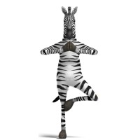Zebra SMM logo - Similar company to Ironburgh Arabia