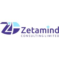 Zetamind Consulting Limited logo - Similar company to Go2Solve