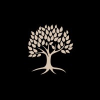 JS Advisors Group logo - Similar company to Delphi Advisory