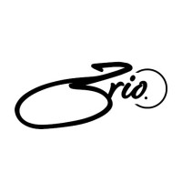 Brio. logo - Similar company to Blue Leaf Designs