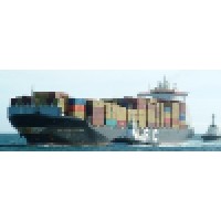 THE IMPORT & EXPORT INSTITUTE OF NIGERIA logo - Similar company to Castle Stone Limited
