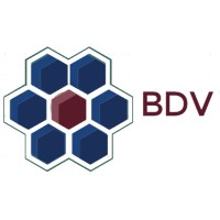 Big Data Ventures LLC logo - Similar company to Config Dynamics