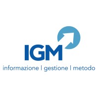 IGM logo - Similar company to Yuga Web