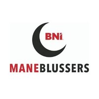 BNI Maneblussers logo - Similar company to Immo Id