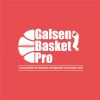 Galsen Basket Pro logo - Similar company to Syncro