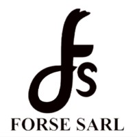 @FORSE logo - Similar company to Vye - Ai