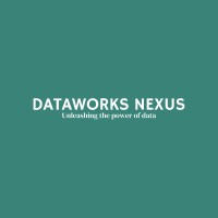 DataWorks Nexus logo - Similar company to 360 Digital Infinity