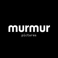 MURMUR logo - Similar company to Skaut