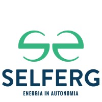 Selferg SRL logo - Similar company to Secsun Srl