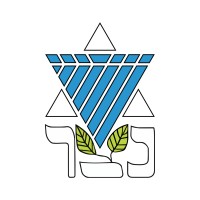 Netzer Australia logo - Similar company to Limpid Group