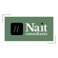 NaitConsultants logo - Similar company to Mthoughts Technologies