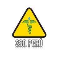 3SQ PERU logo - Similar company to Abin Group S.A.C