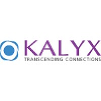 Kalyx Networks Private Limited logo - Similar company to Phi Grid Consulting