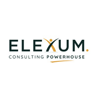 ELEXUM. logo - Similar company to Detezo