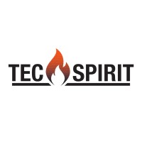 TecSpirit logo - Similar company to Yash Solutions Llc