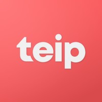 Teip logo - Similar company to Beacon Ai
