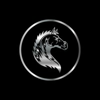 ITAOUA MOTORS logo - Similar company to Black Nile Technologies