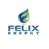 Felix Energy logo - Similar company to Felix Energy Consulting
