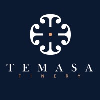 TEMASA logo - Similar company to Ctsg- Cloud Technology Solutions Group