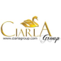 C Group fze logo - Similar company to Educore Systems And Technologies Fze