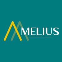 Melius: Corporate Improvement Solutions logo - Similar company to Melius
